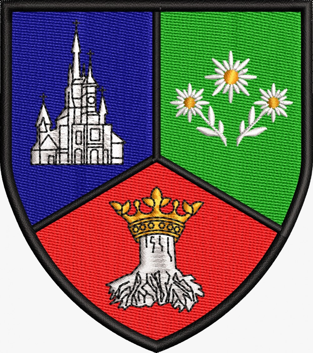 EMBLEMA BRASOV